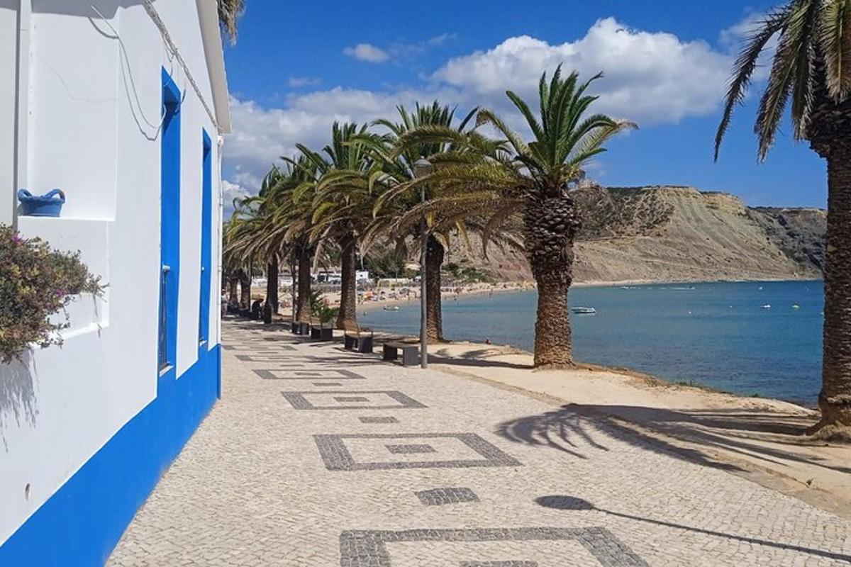 plaža s palmami in modro-belo stavbo