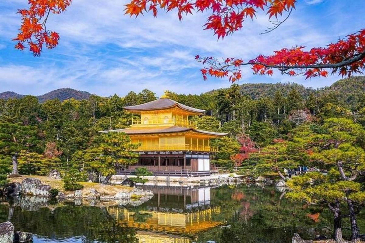 un edificio giallo sull'acqua in un giardino