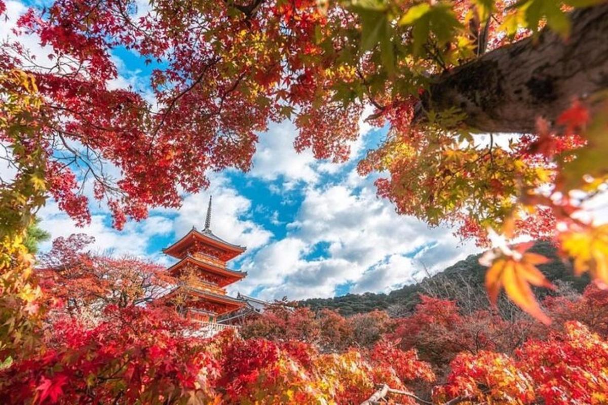 una pagoda in mezzo a una foresta di alberi