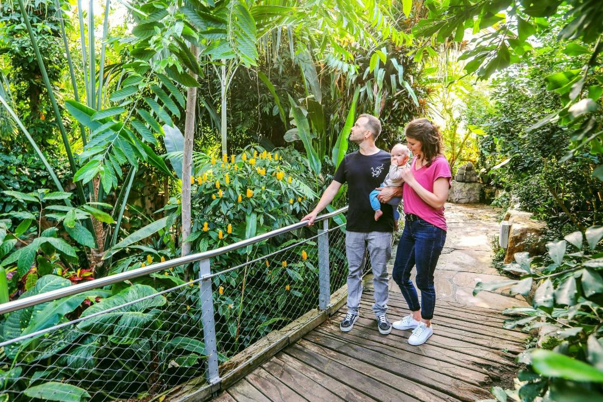 a man and a woman holding a baby on a bridge