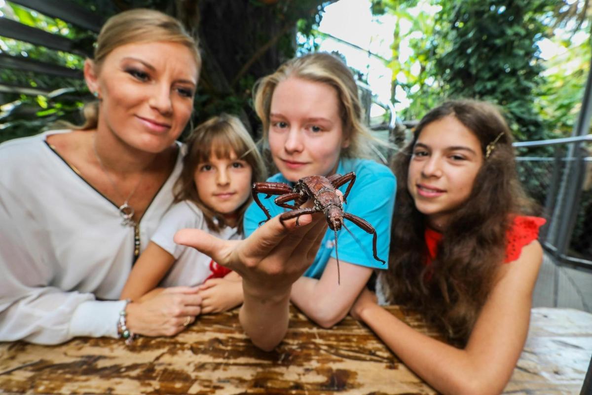 a woman holding a crab with two girls