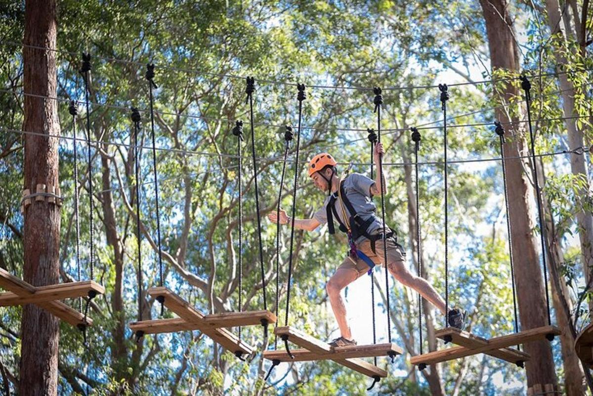a man on a zip line in the trees