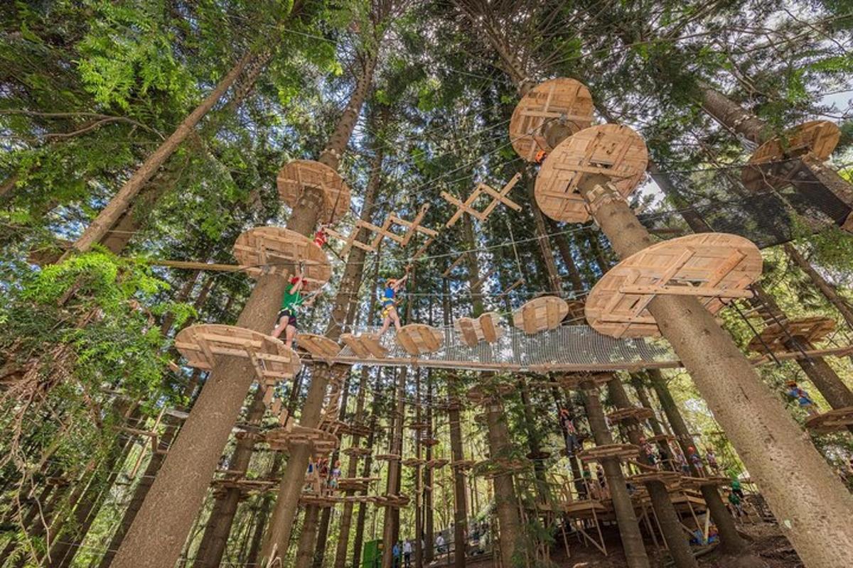 a ride in the trees at a theme park
