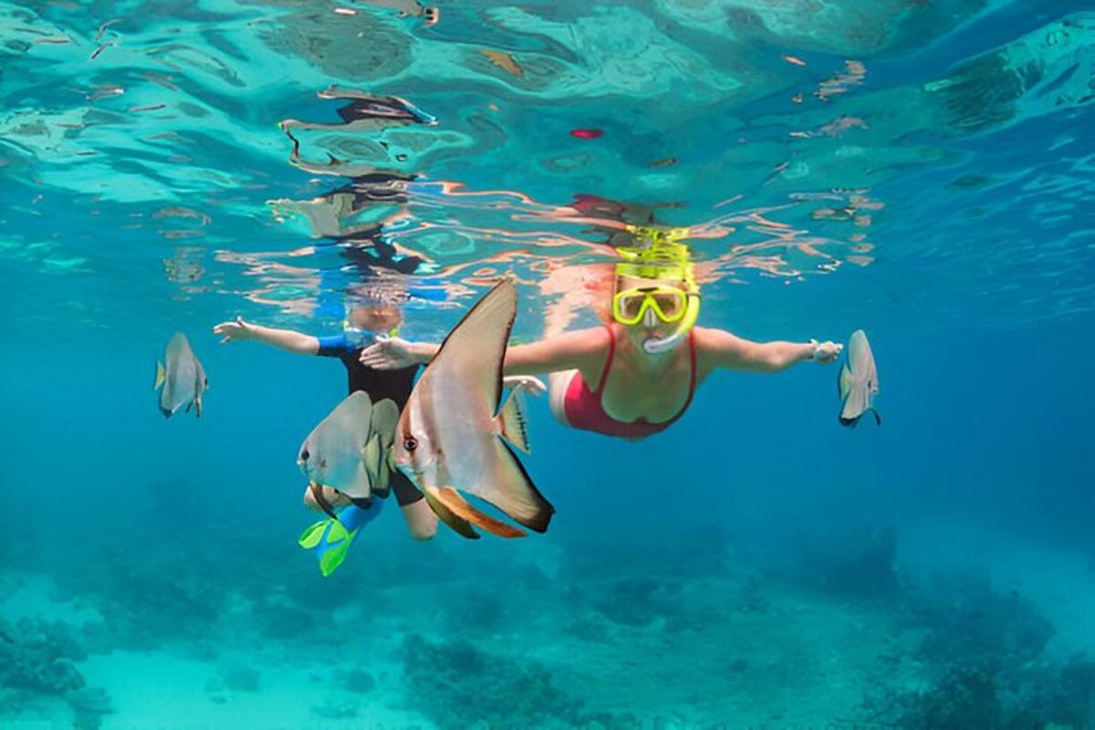 una donna che nuota nell'acqua con una razza