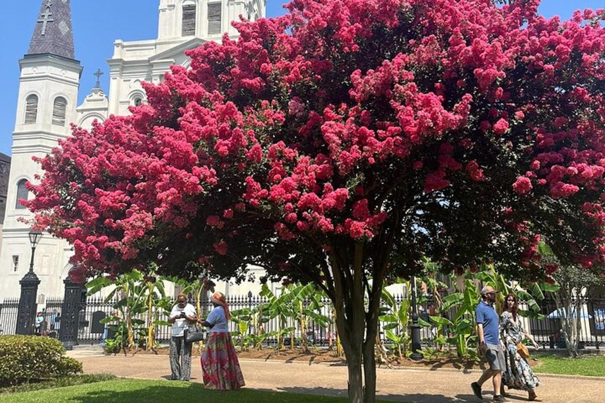 a tree covered in pink flowers in front of a building