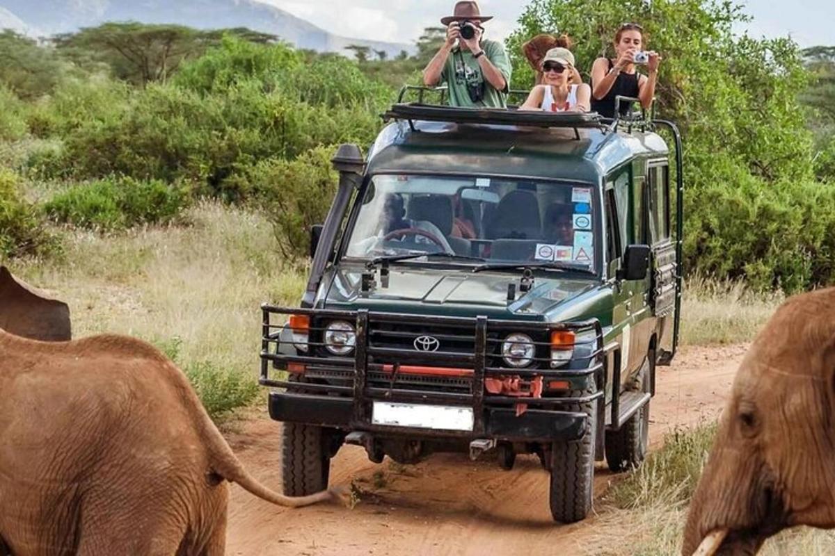 un grup de persones que viatjaven a la part posterior d'un vehicle