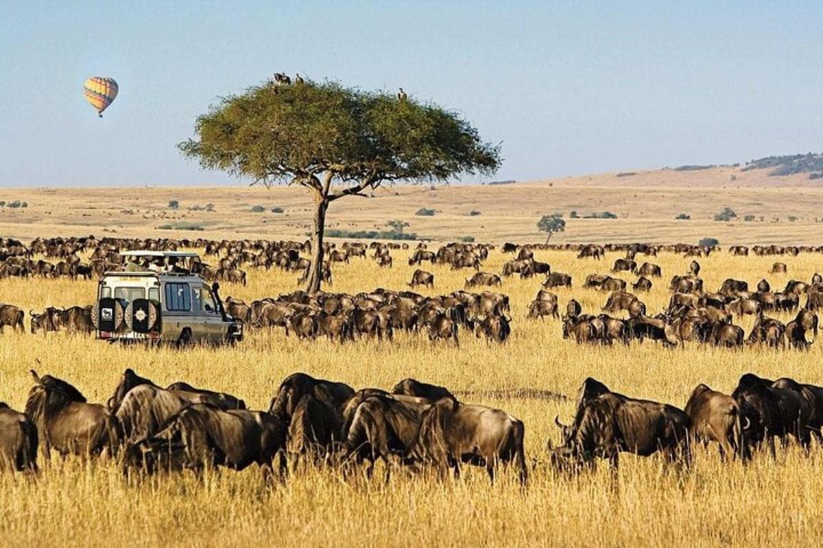 un ramat d'animals en un camp amb un globus aerostàtic