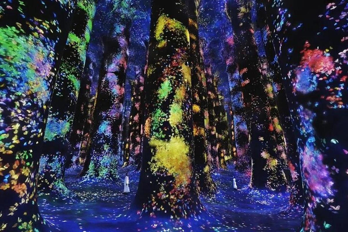 obraz lesa se stromy