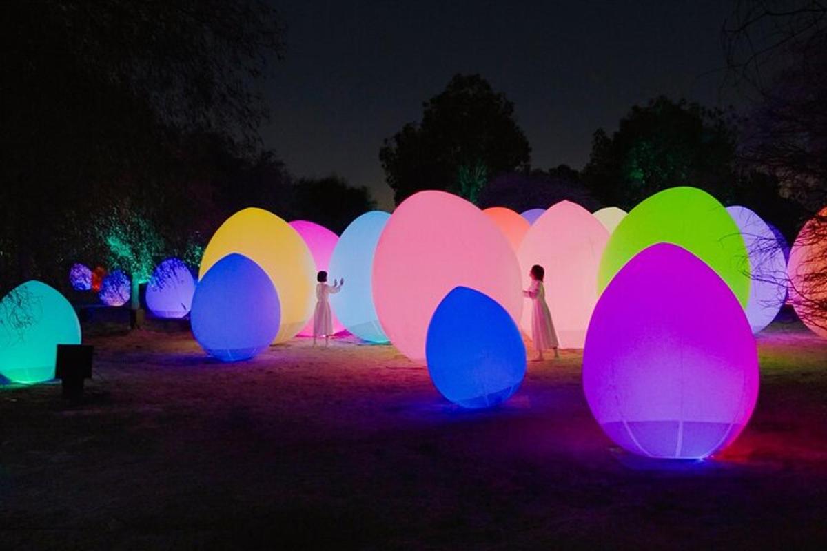 a group of colorful lit up barriers at night