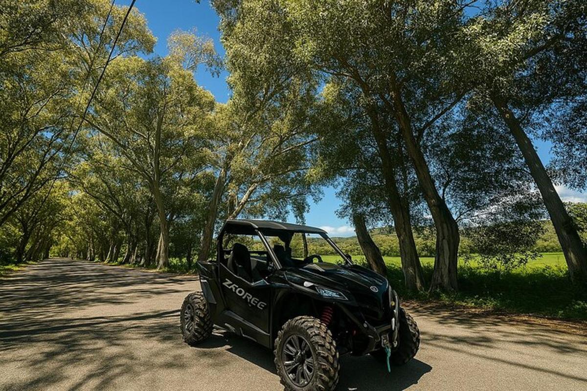 um jipe preto estacionado em uma estrada com árvores