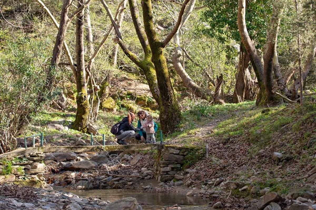two people sitting on a bridge over a stream