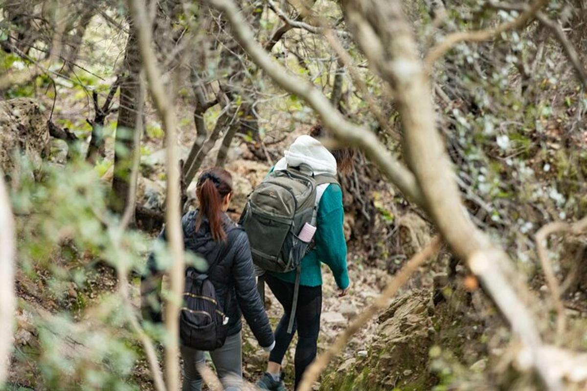 two people walking on a trail in the woods