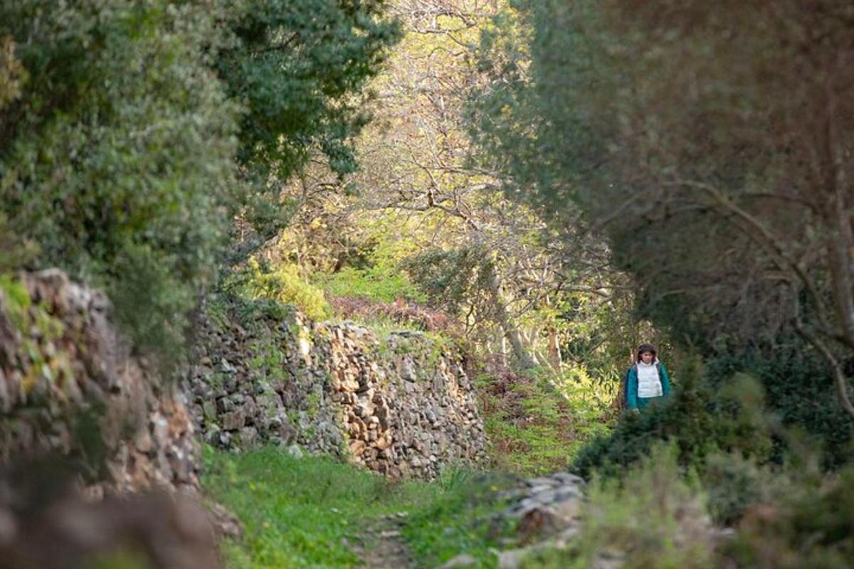 a woman walking down a path in a forest