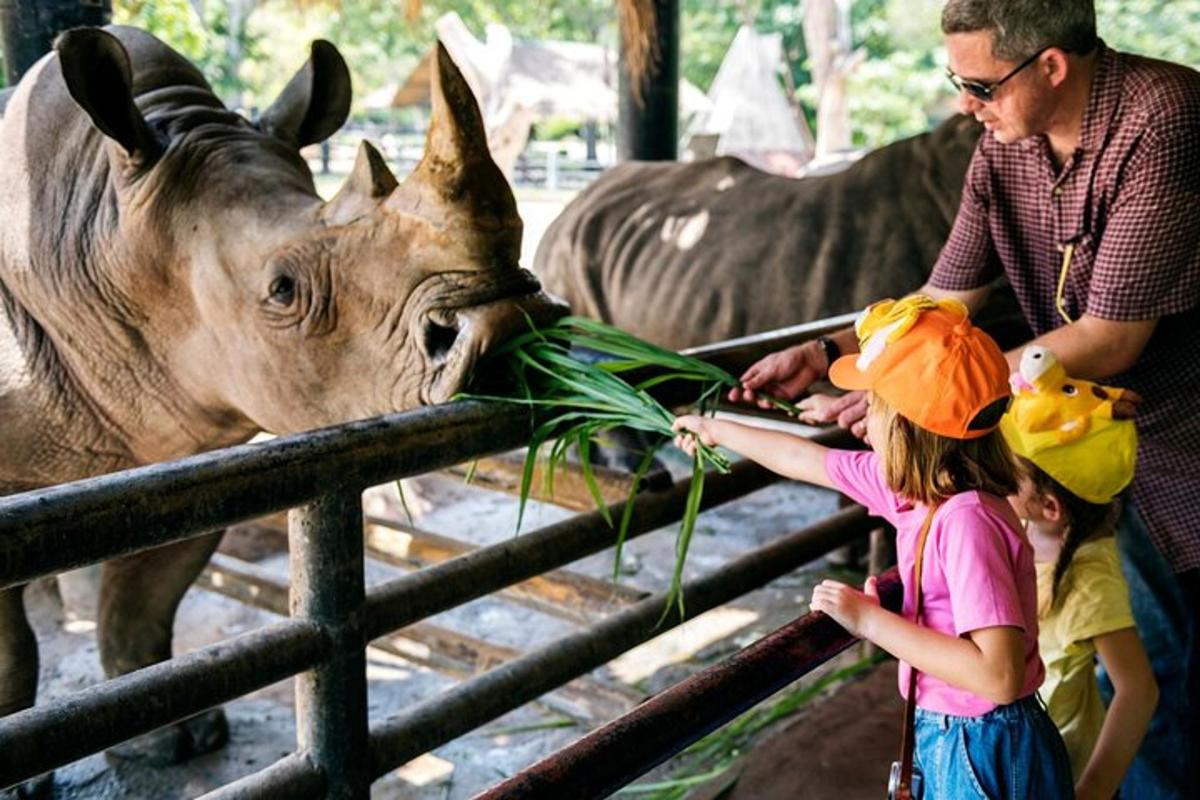 a man and two children feeding a giraffe at a zoo