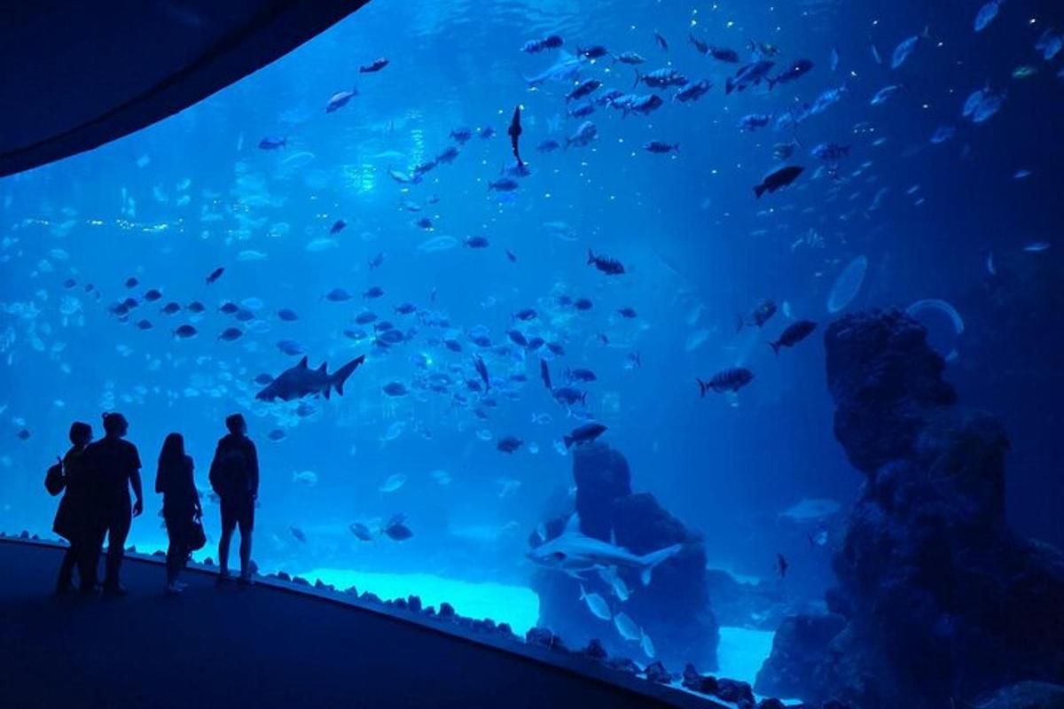 eine Gruppe von Menschen steht vor einem großen Aquarium
