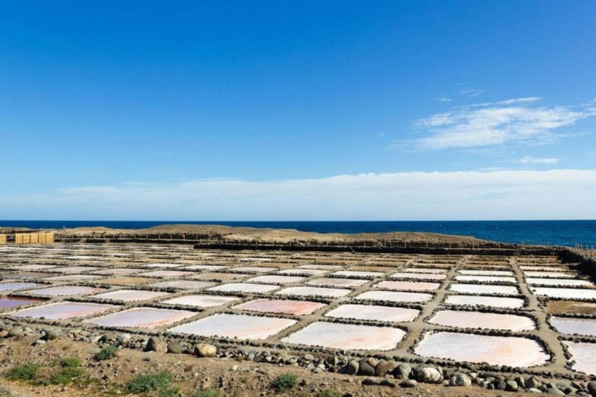 een groot veld met de oceaan op de achtergrond
