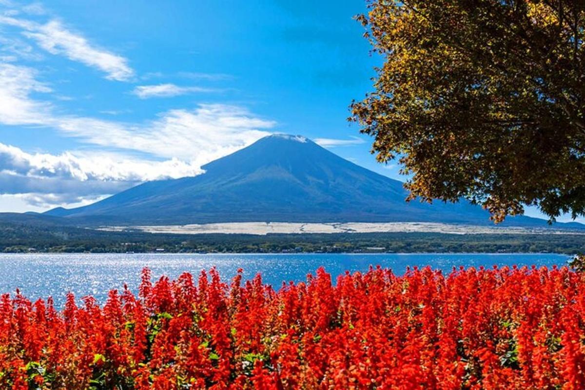 gunung dengan bunga merah di hadapan tasik