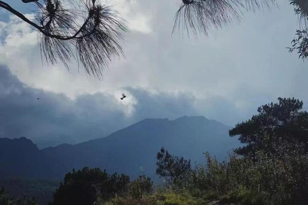a bird flying in the sky over a mountain