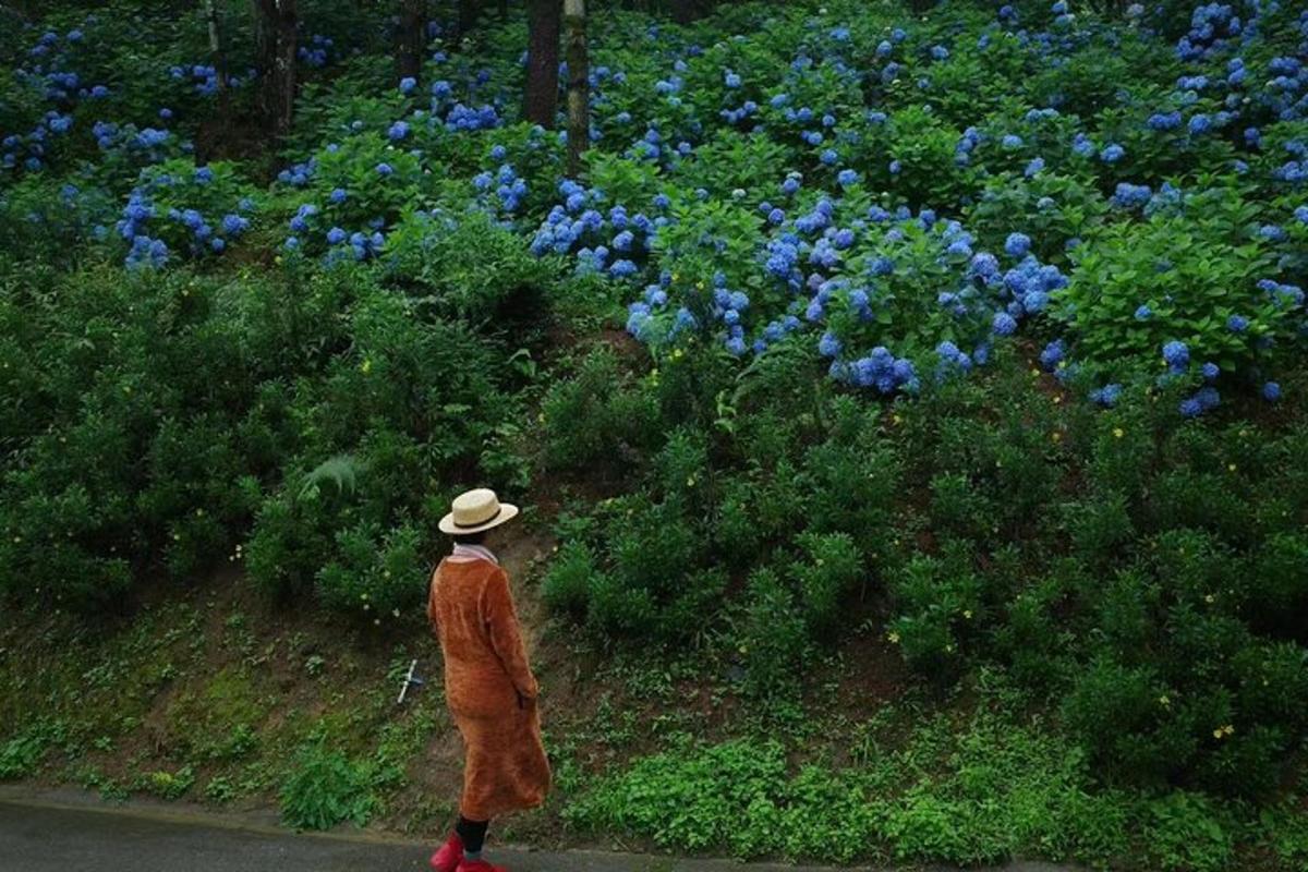 a man walking down a street looking at blue flowers