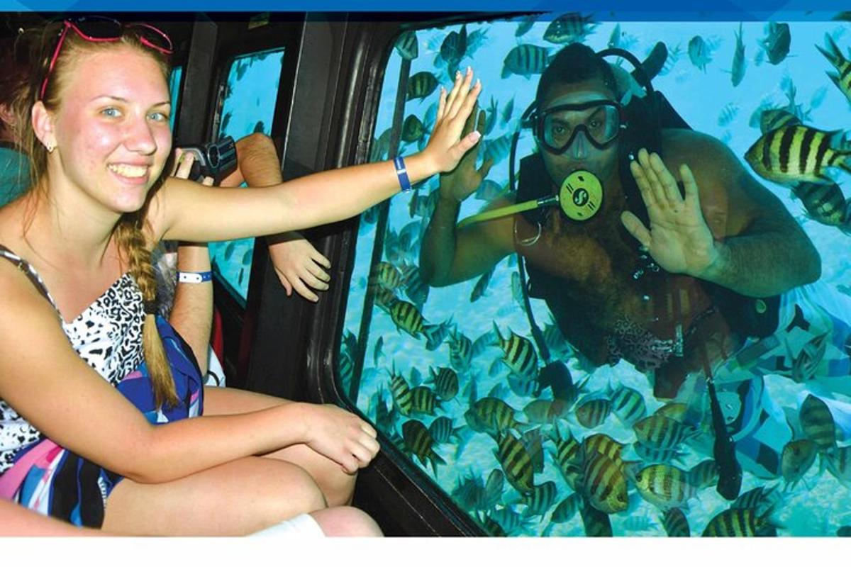 a woman sitting on a bus looking at a monkey in an aquarium