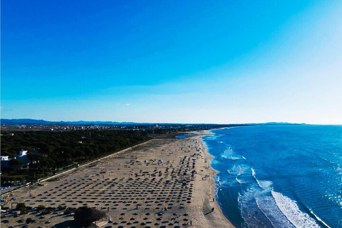 una vista aerea di una spiaggia con persone su di essa