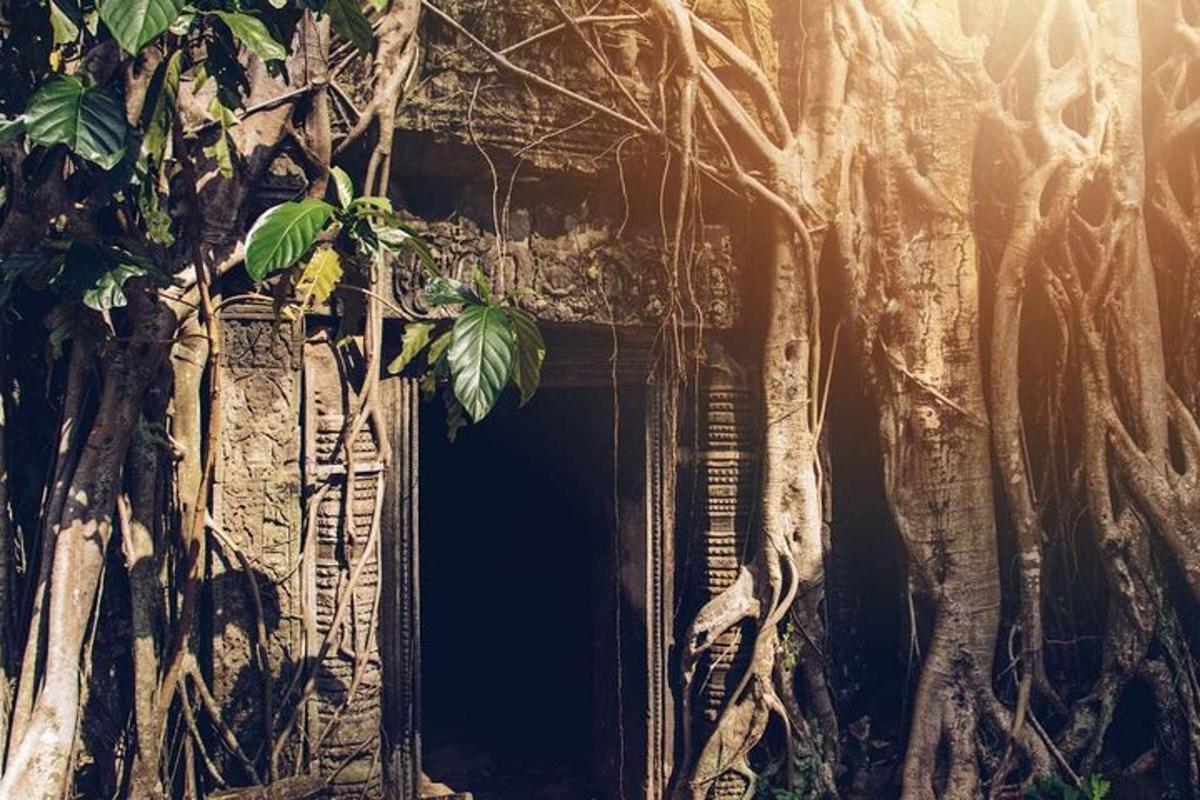 un edificio con un albero che cresce attorno a una porta