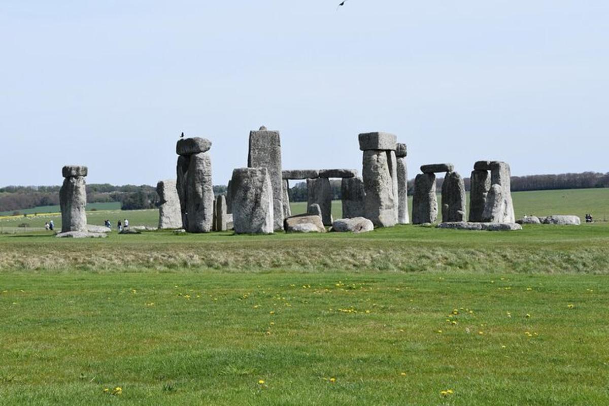 akur með Stonehenge minnismerki í akri