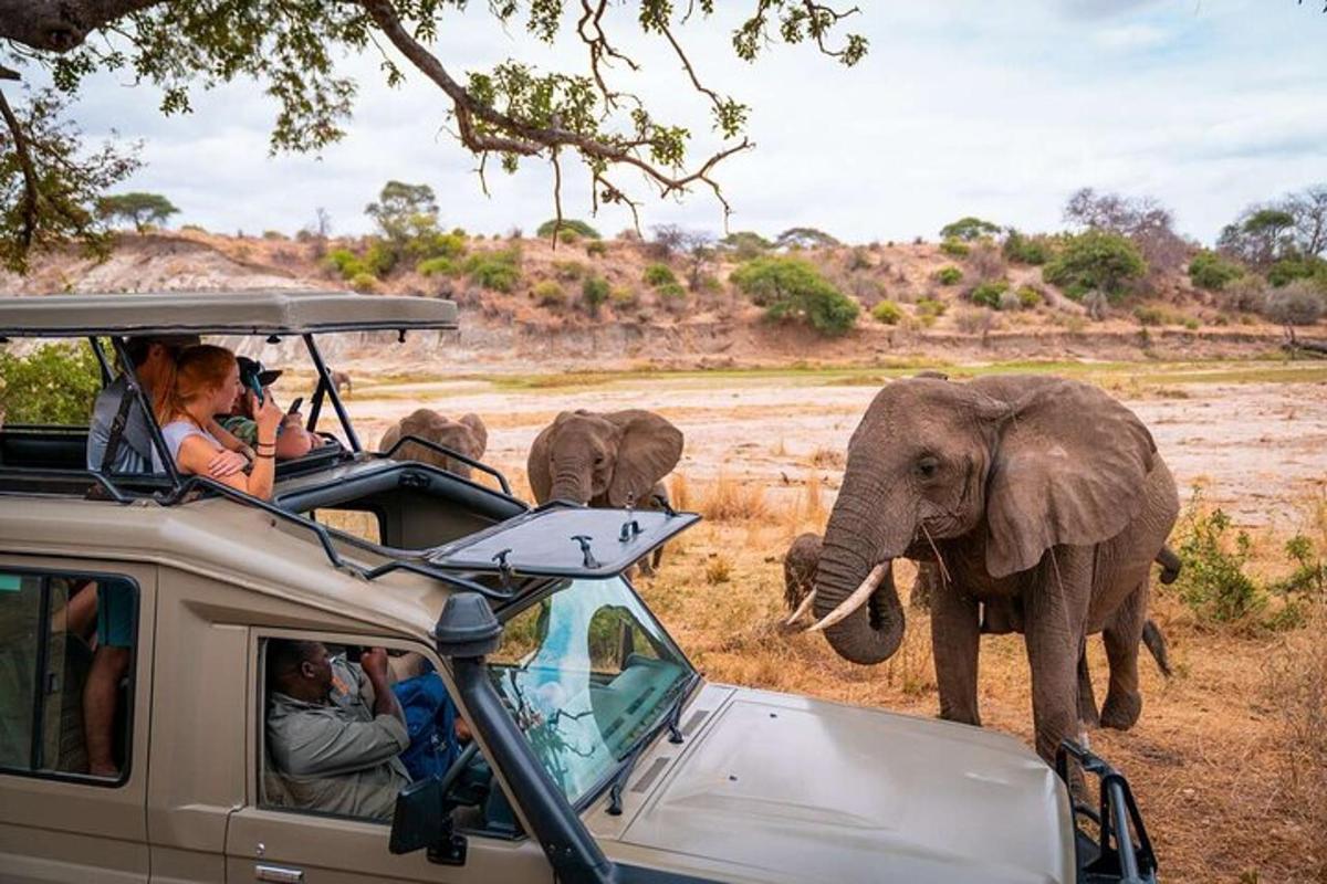 un gruppo di persone in un veicolo che guarda un elefante
