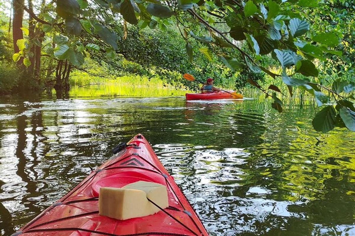 a person in a red kayak in the water