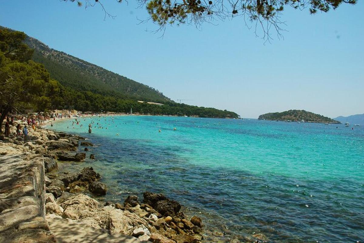 a beach with people swimming in the water