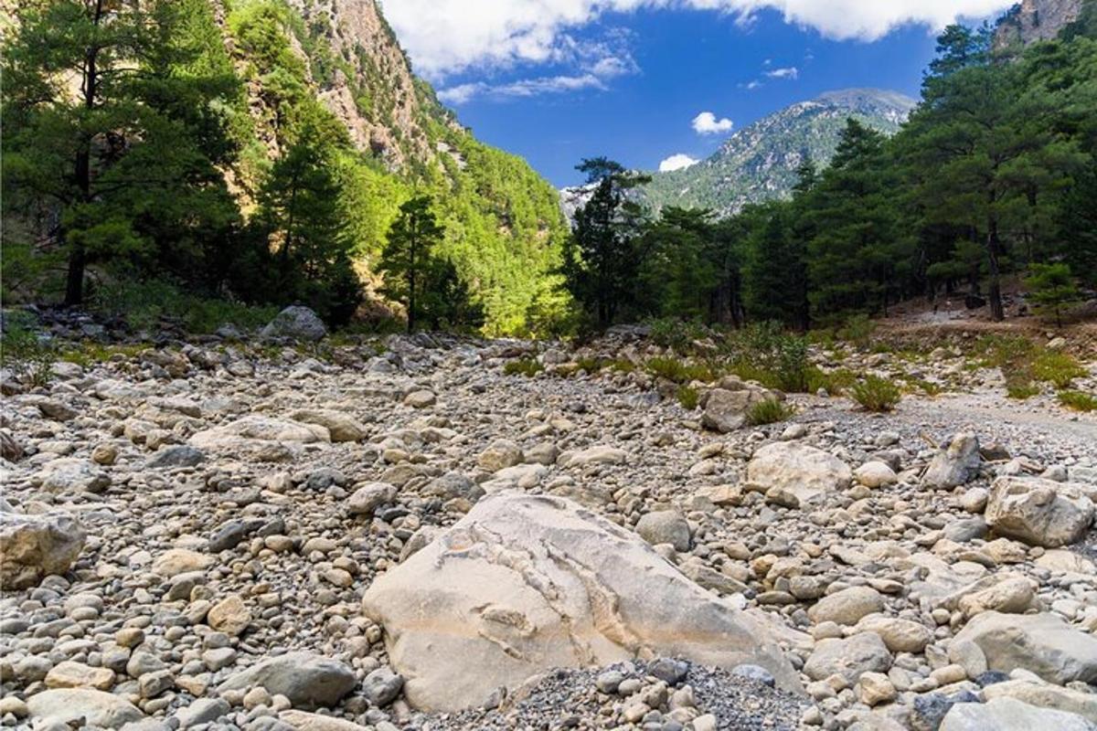 skalnata reka z drevesi in gorami v ozadju