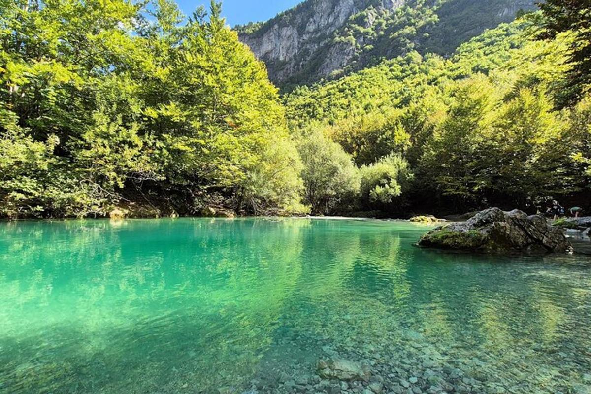 a body of water with trees and a mountain