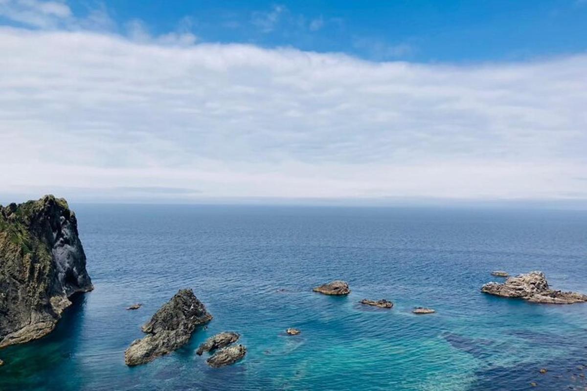 海洋附近水中的一组岩石