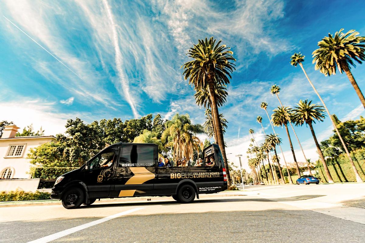 a black van parked on a street with palm trees