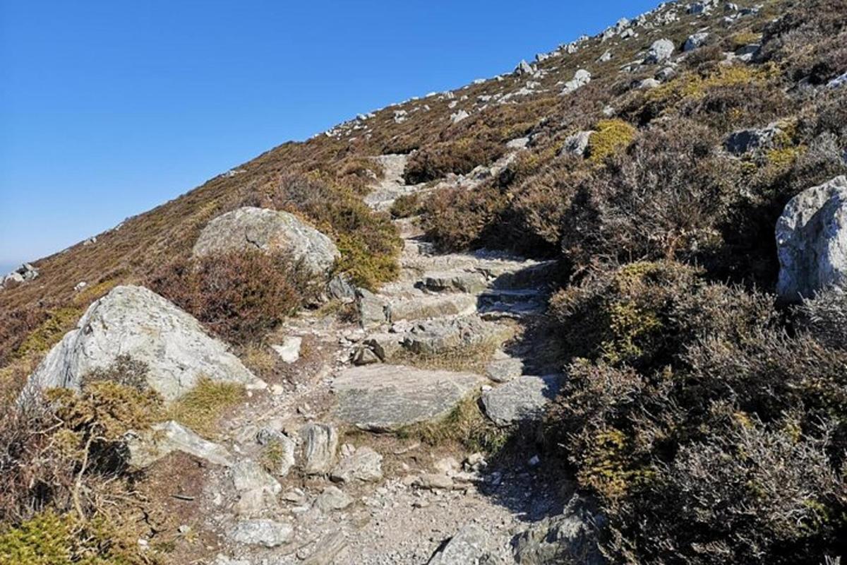 gunung dengan batu dan tumbuh-tumbuhan di atasnya