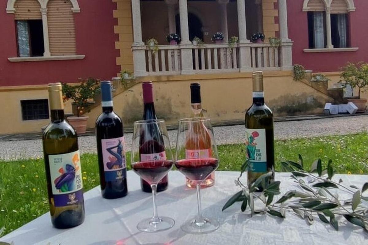 três garrafas e duas taças de vinho em uma mesa