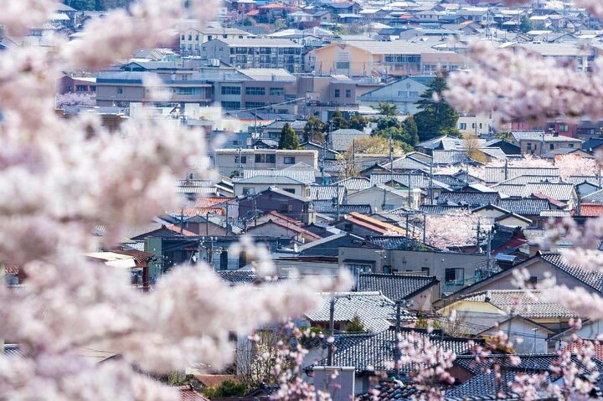 a view of a city with pink flowering trees