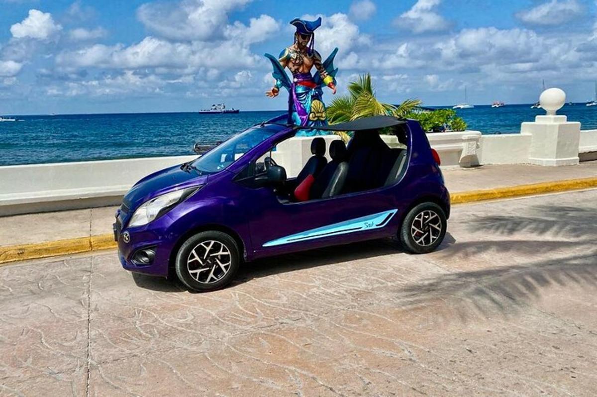 malé fialové auto se ženou sedící na střeše