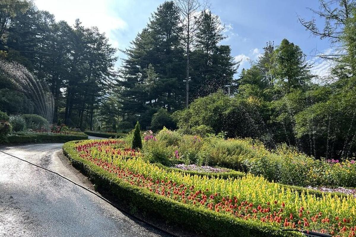 a garden with flowers on a road