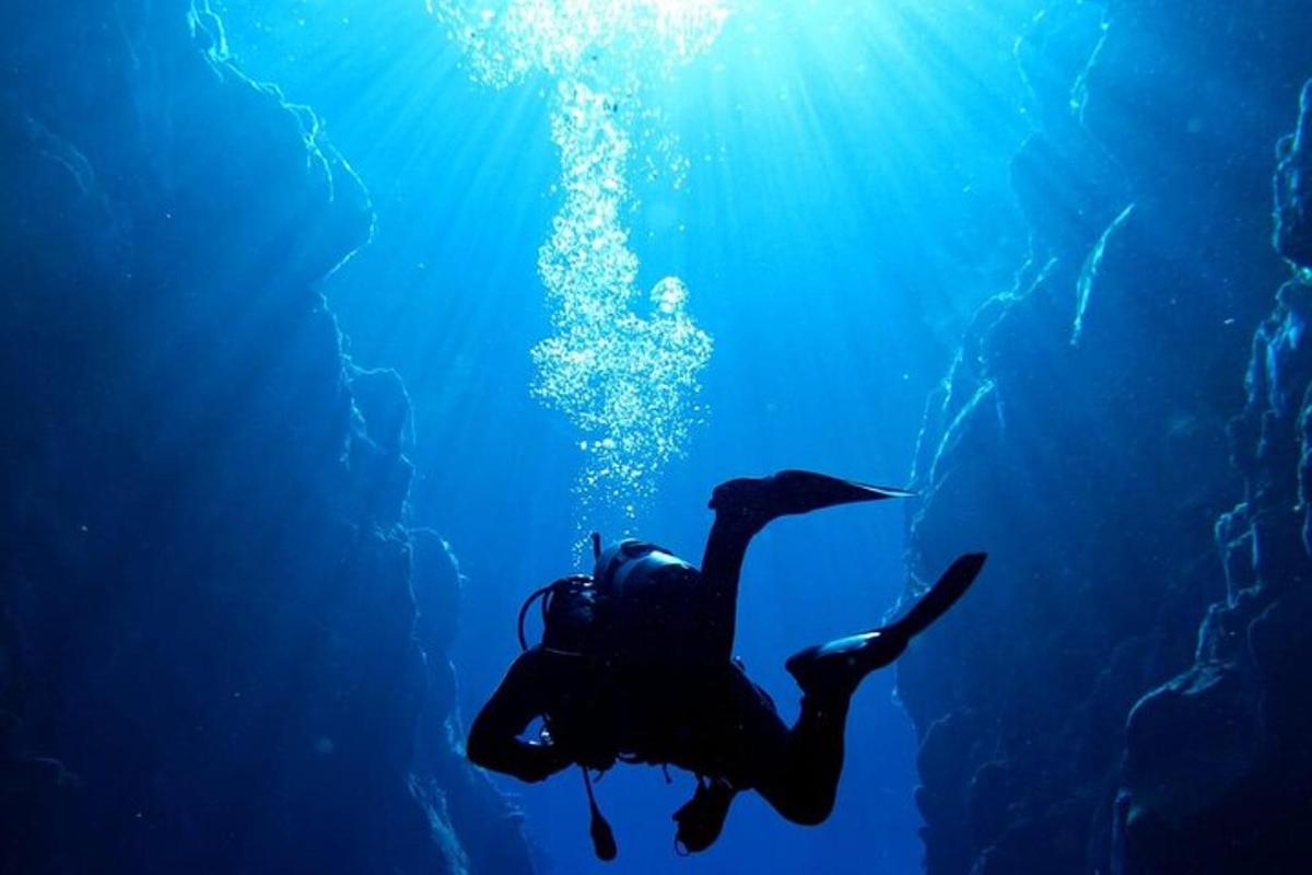 a person is swimming in the water in the ocean