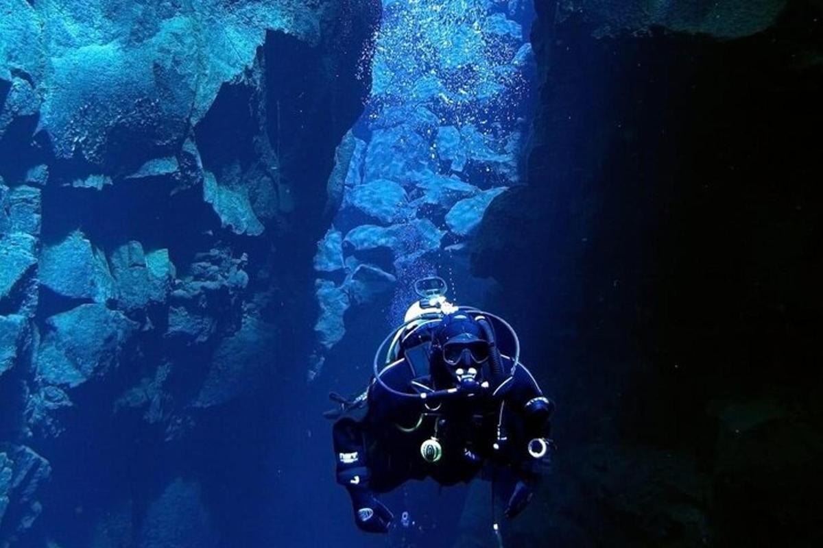 a person swimming in the water in an aquarium