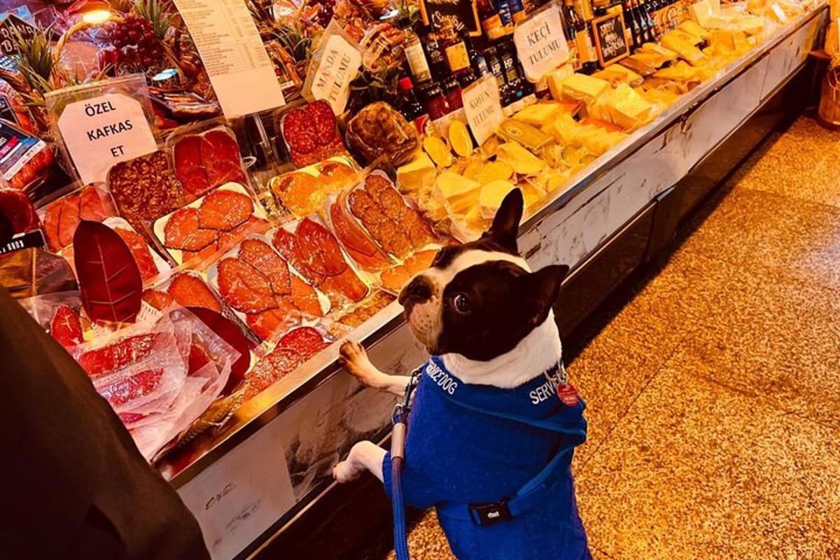 un cagnolino in piedi davanti a un espositore di cibo
