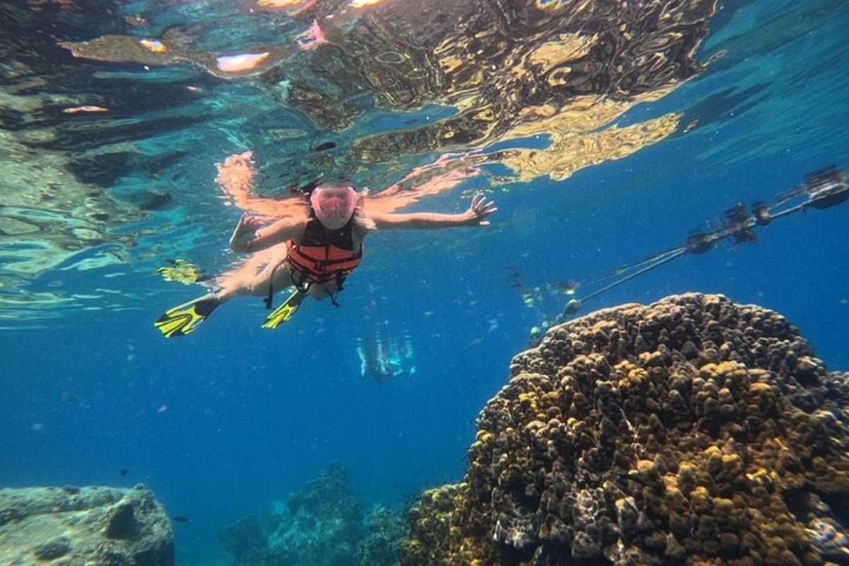 seseorang yang berenang di dalam air berhampiran terumbu karang