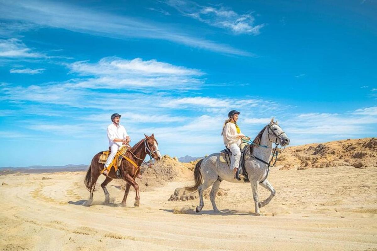 two people riding horses in the desert