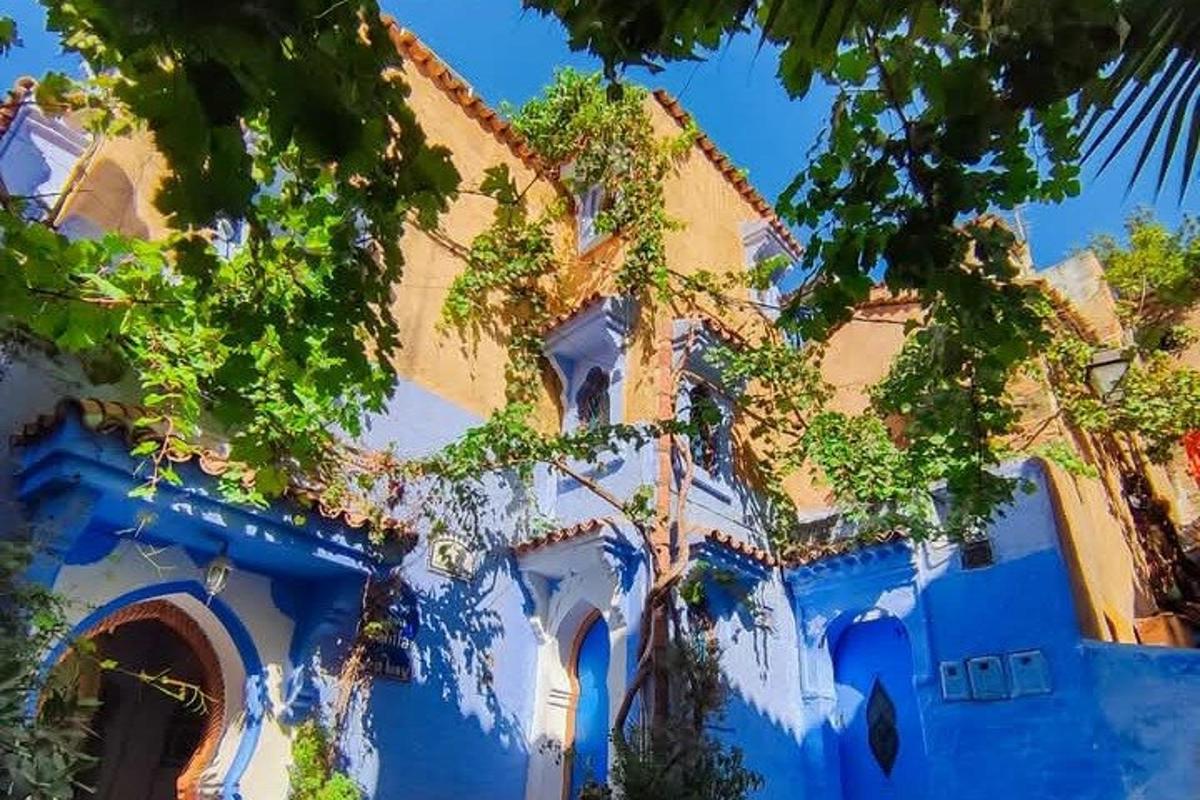 ein blau-weißes Gebäude mit Bäumen im Vordergrund