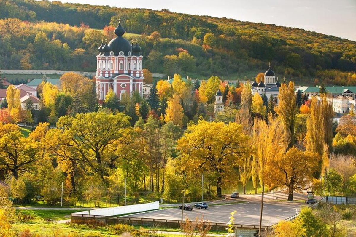 un edificio nel mezzo di una città con alberi