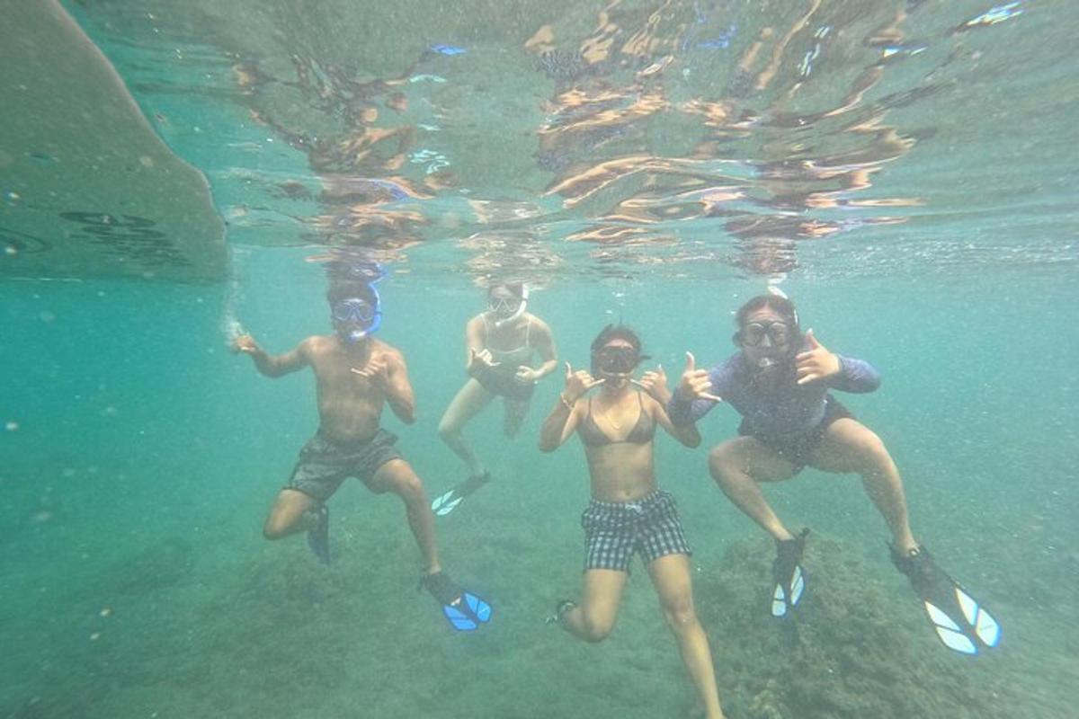 un grupo de personas nadando en el agua