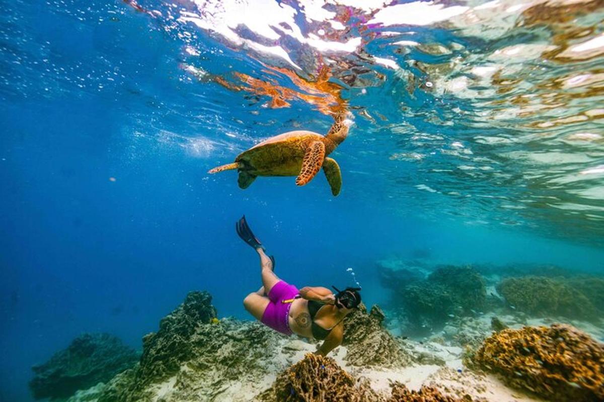 a person swimming in the ocean with a turtle