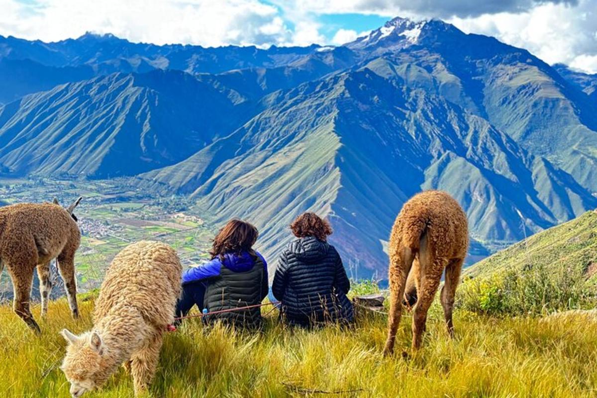 tre persone sedute in cima a una collina con le pecore