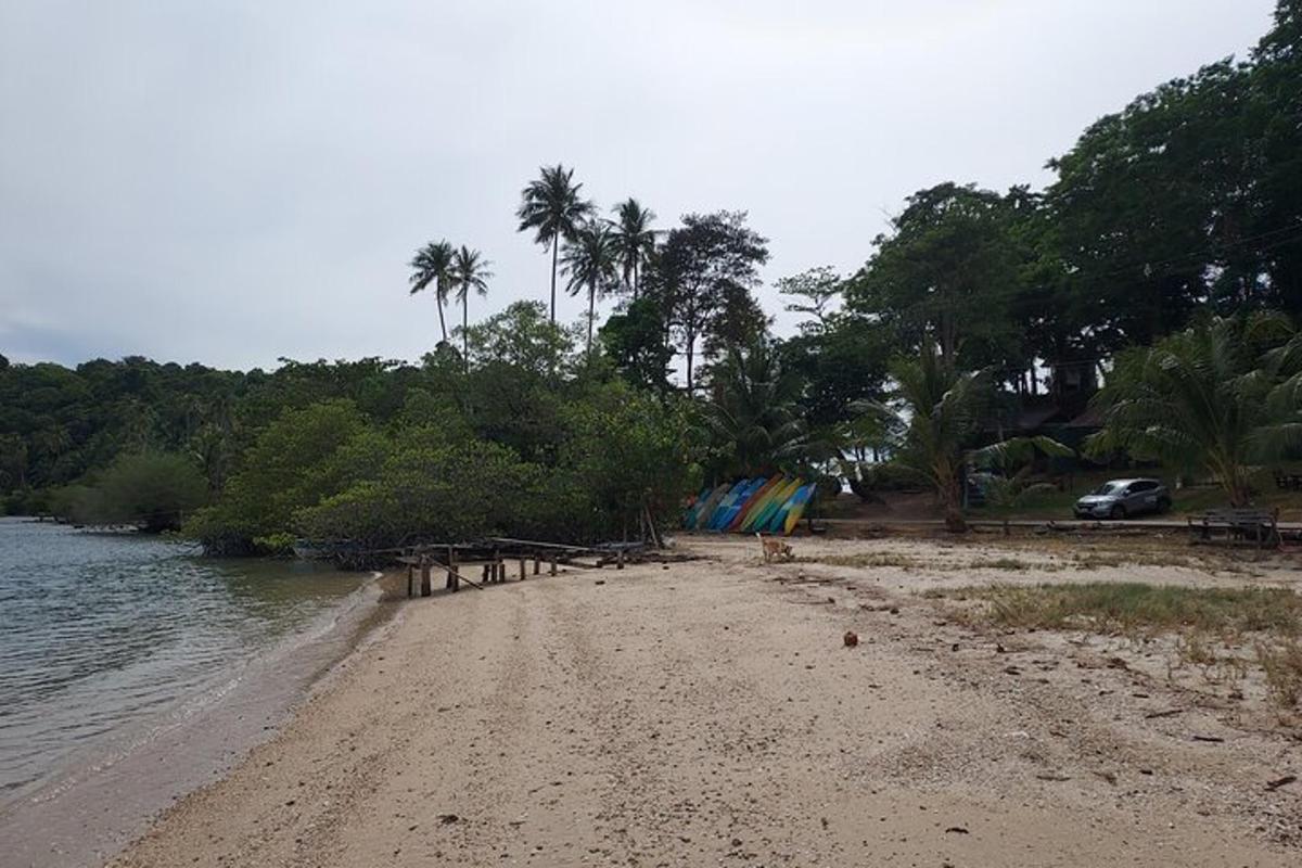 a beach with palm trees and a car parked on it